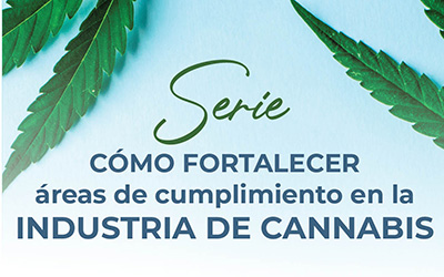Serie-Industria-Cannabis
