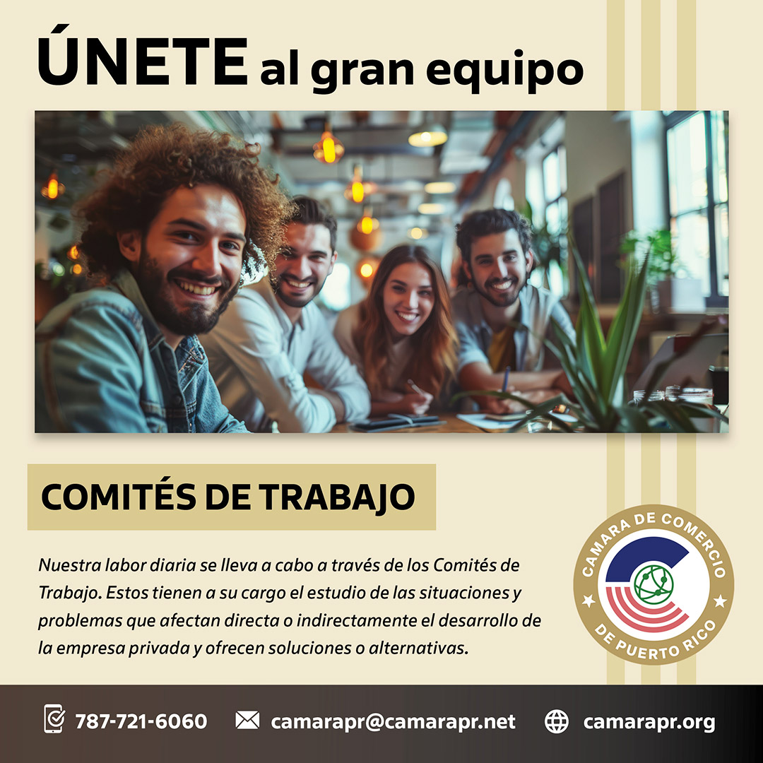 posts-servicios-24-25-Comites image